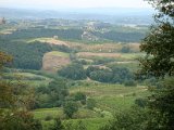 VISTA DA PANCOLE 2.JPG